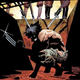 Illustration for article titled Wolverines Samurai Movie Starts Filming Next Year